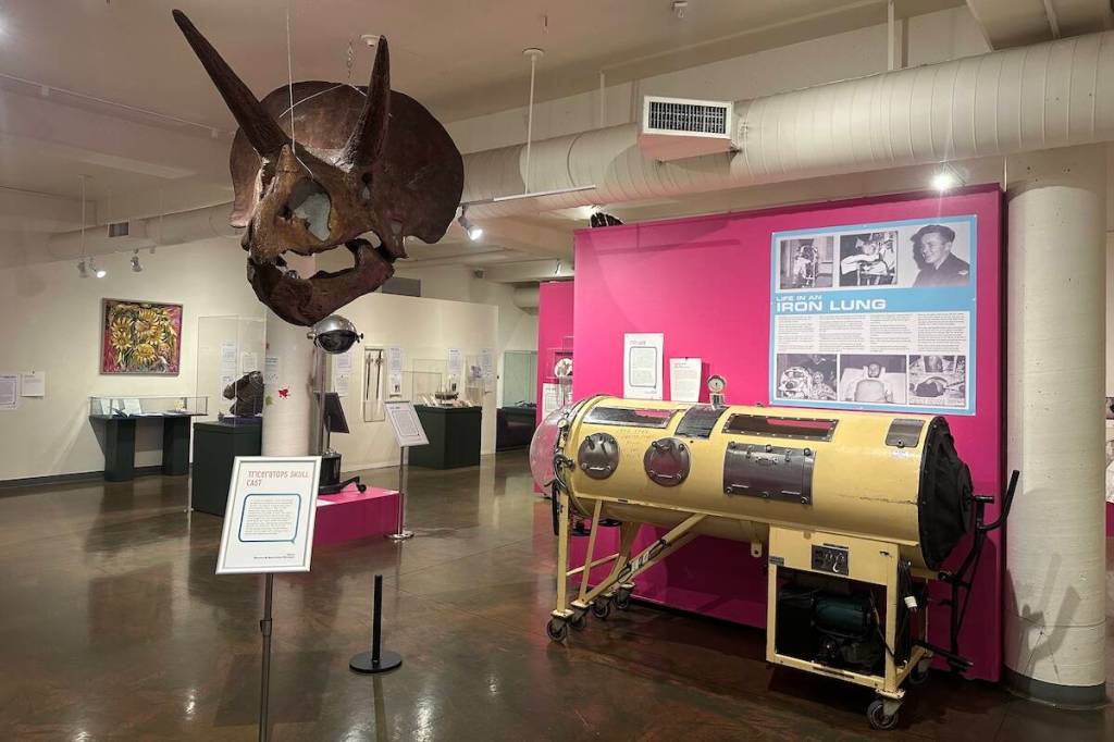 The Weird and Wonderful Exhibit at Kelowna Museums. (Brittany Webster/Black Press)